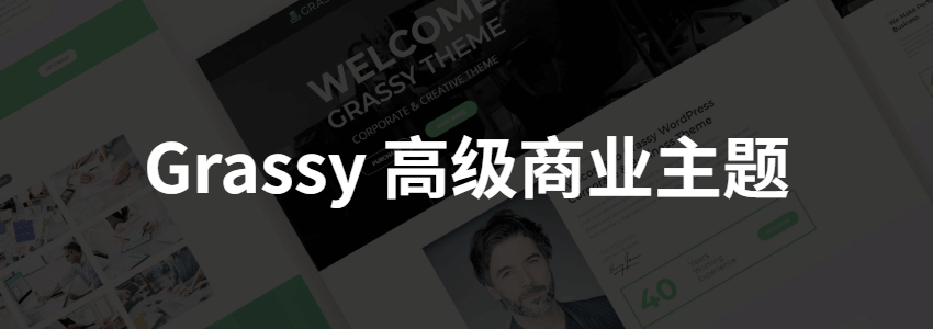 Grassy高级商业主题免费下载,适用于金融/咨询等行业