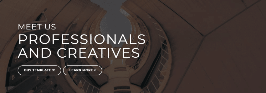 正版WordPress高级主题免费下载:Revity – OnePage Parallax