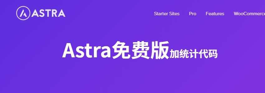 使用免费版Astra搭建的外贸网站怎么添加Google统计代码